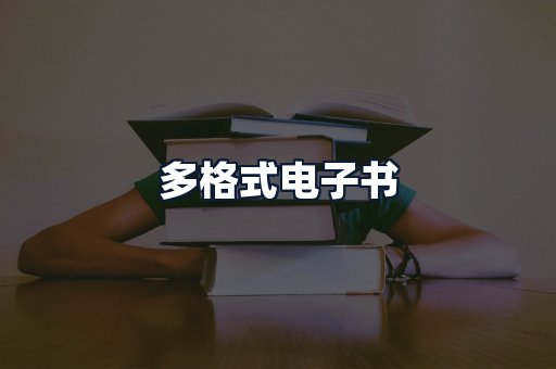 多格式电子书